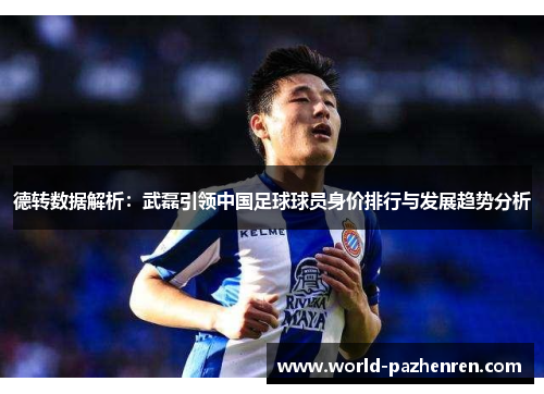 德转数据解析：武磊引领中国足球球员身价排行与发展趋势分析