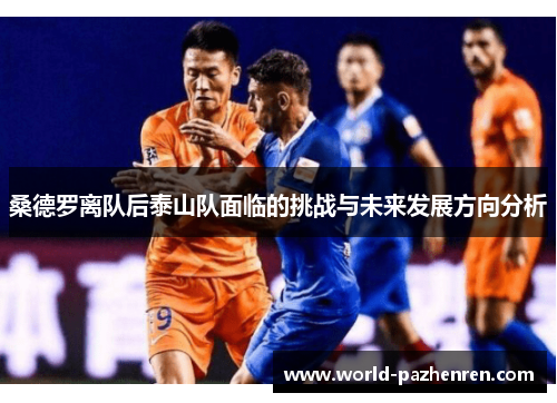 桑德罗离队后泰山队面临的挑战与未来发展方向分析 桑德罗离队后泰山队面临的挑战与未来发展方向分析
