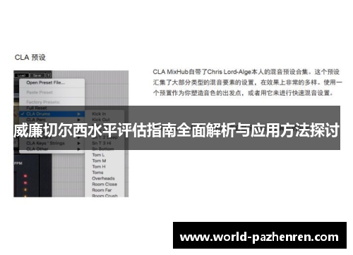 威廉切尔西水平评估指南全面解析与应用方法探讨 威廉切尔西水平评估指南全面解析与应用方法探讨