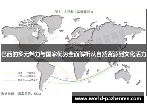 巴西的多元魅力与国家优势全面解析从自然资源到文化活力