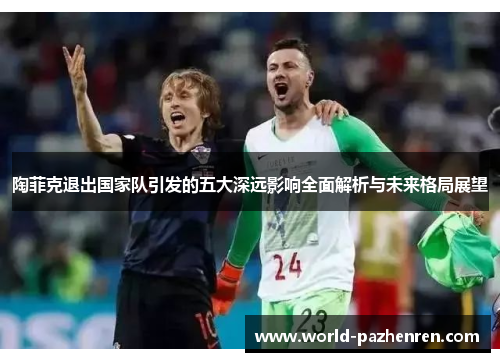 陶菲克退出国家队引发的五大深远影响全面解析与未来格局展望 陶菲克退出国家队引发的五大深远影响全面解析与未来格局展望