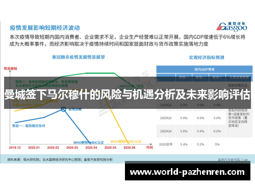 曼城签下马尔穆什的风险与机遇分析及未来影响评估 曼城签下马尔穆什的风险与机遇分析及未来影响评估