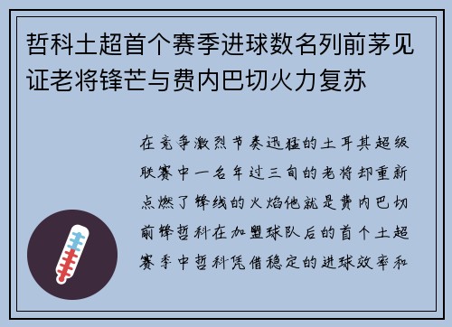 哲科土超首个赛季进球数名列前茅见证老将锋芒与费内巴切火力复苏